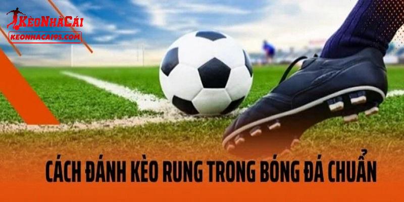 Mẹo đánh kèo rung luôn đạt tỷ lệ thắng cao Mẹo đánh kèo rung luôn đạt tỷ lệ thắng cao